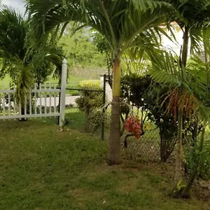 Cynson , Christ Church Barbados
