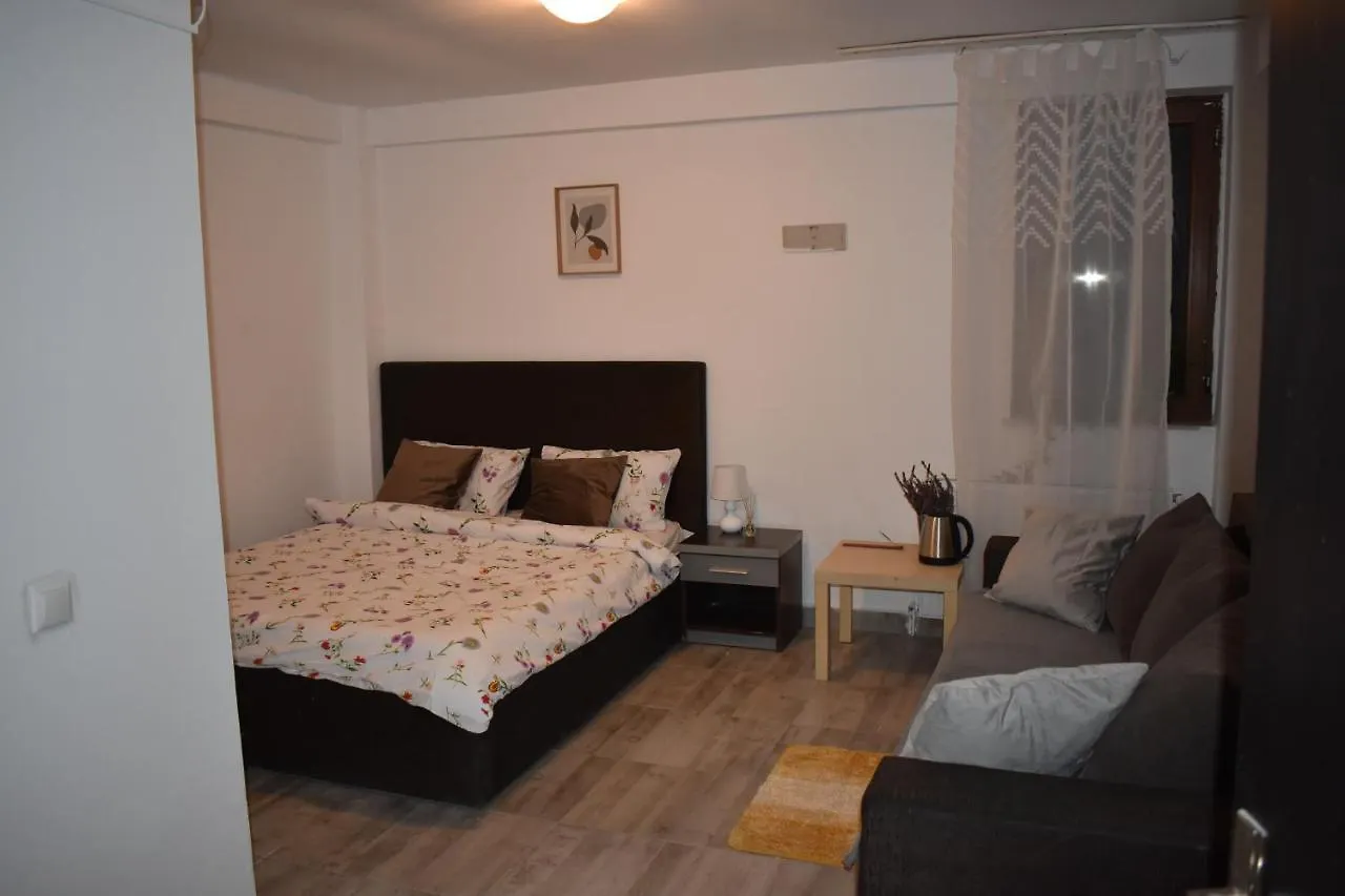 Occidental Wise Transit Hotel Bucarest 3*,